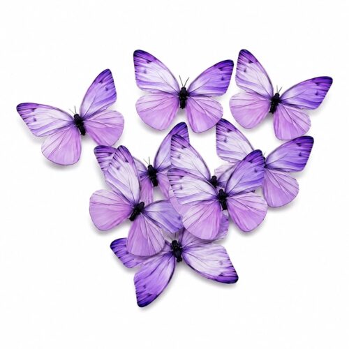 PURPLE BUTTERFLY