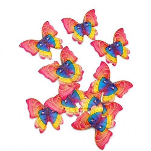 BUTTERFLY RAINBOW