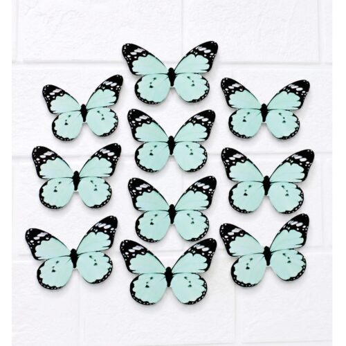 SKY BLUE BUTTERFLY