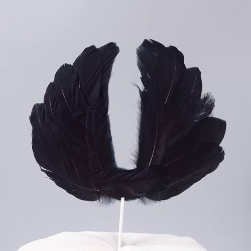 Black Feather