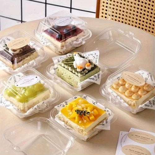 Tranceparent Bento Box 1pc