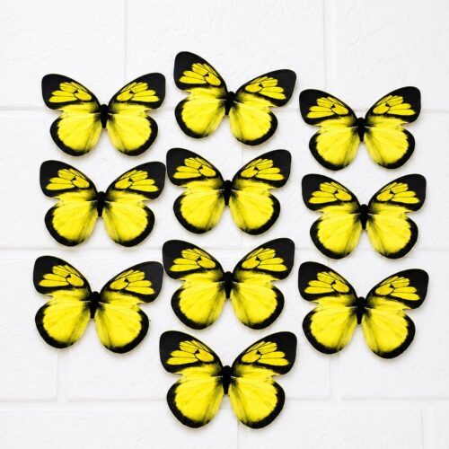 YELLOW & BLACK BUTTERFLY 1pkt